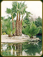 Spa en Lobos - Aquae Sulis Spa - Argentina