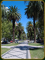 Bulevar Oro&ntilde;o - Argentina