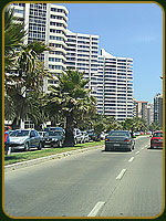 Viña del Mar - Avenida San Martín - Chile