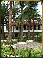 Islas Canarias - El Patio Finca Malpais  - Espa&ntilde;a