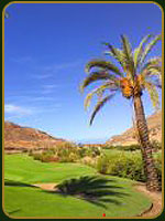 Islas Canarias - Campo de Golf - Espa&ntilde;a