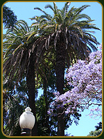 Plaza Francia - Argentina