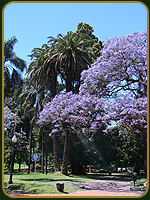 Plaza Francia - Argentina