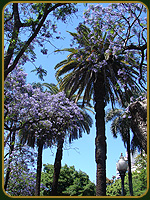 Plaza Francia - Argentina
