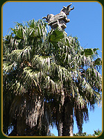 Plaza Iran - Argentina