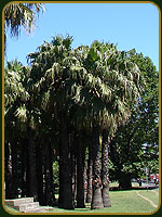 Plaza Iran - Argentina