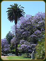 Plaza Mitre - Argentina