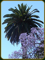 Plaza Mitre - Argentina