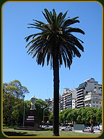 Plaza Scilia - Argentina