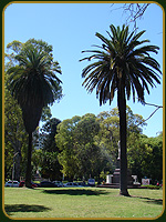 Plaza Scilia - Argentina