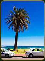 Bulevar frente al mar - Sud Africa