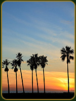 Bulevar Vanice  - California