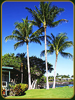 Bungalow en la playa - Hawaii