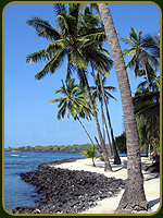 Palmeras en la playa - Hawaii