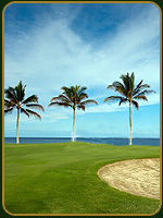 Decoración en Cancha de Golf - Hawaii