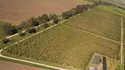 La Plantaci�n - Estancia el Paraiso