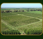 La Plantaci&oacute;n - Estancia el Paraiso